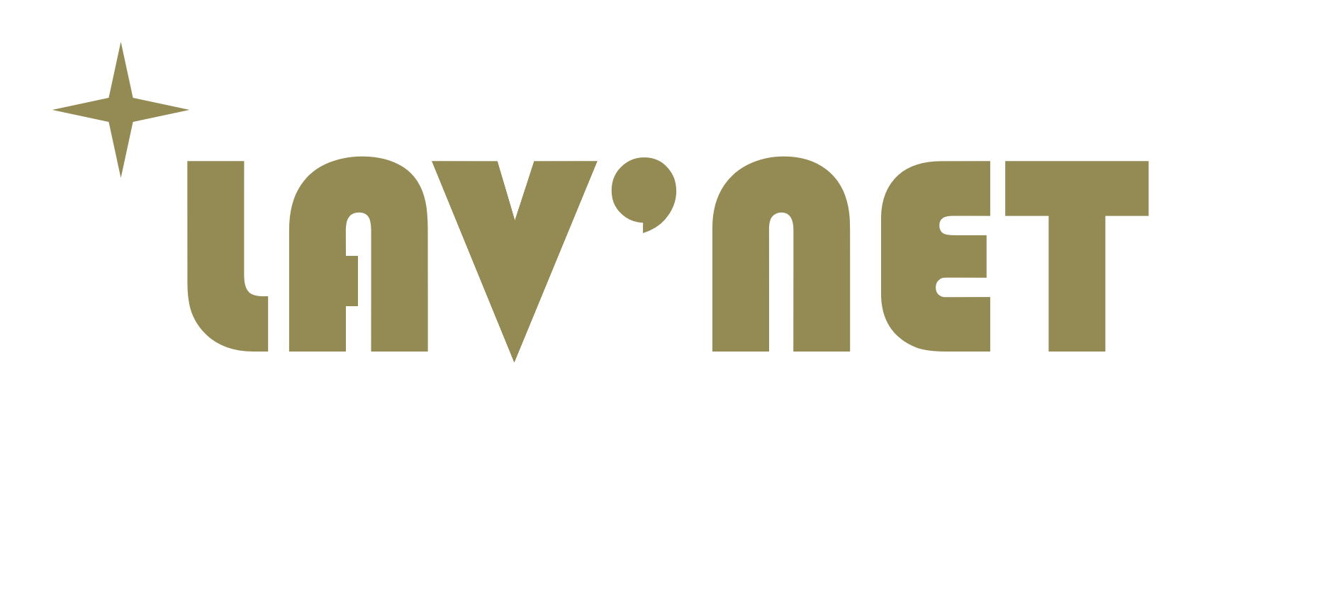 LogoLavNet